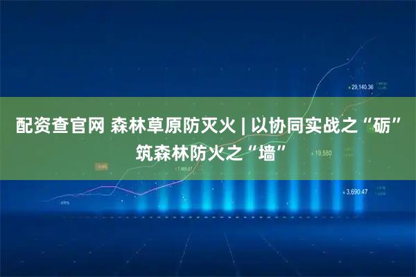 配资查官网 森林草原防灭火 | 以协同实战之“砺” 筑森林防火之“墙”